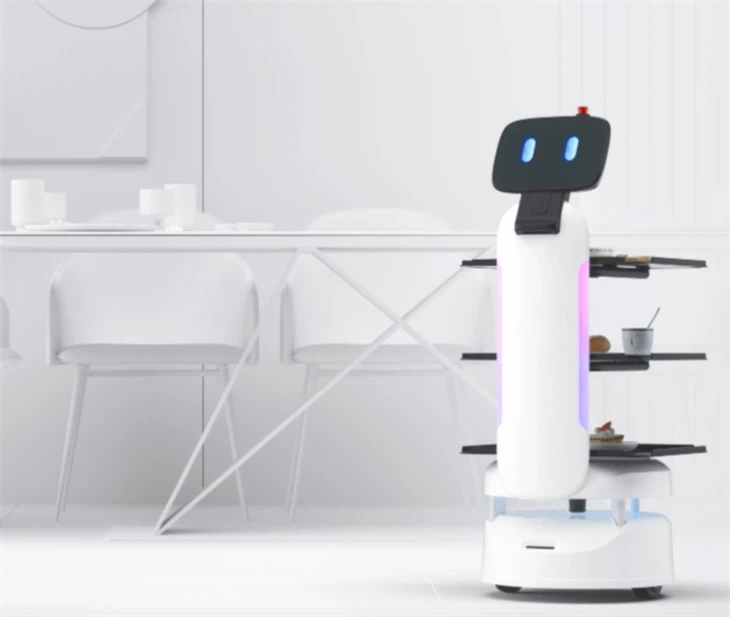 Robot To Serve Food best
