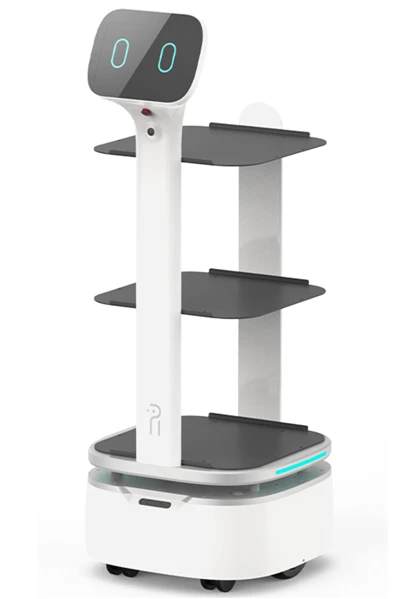 Leveransrobotar På Campus