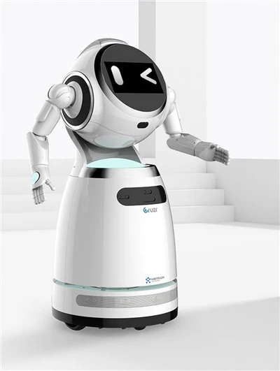 Intelligent Humanoid Service Robot