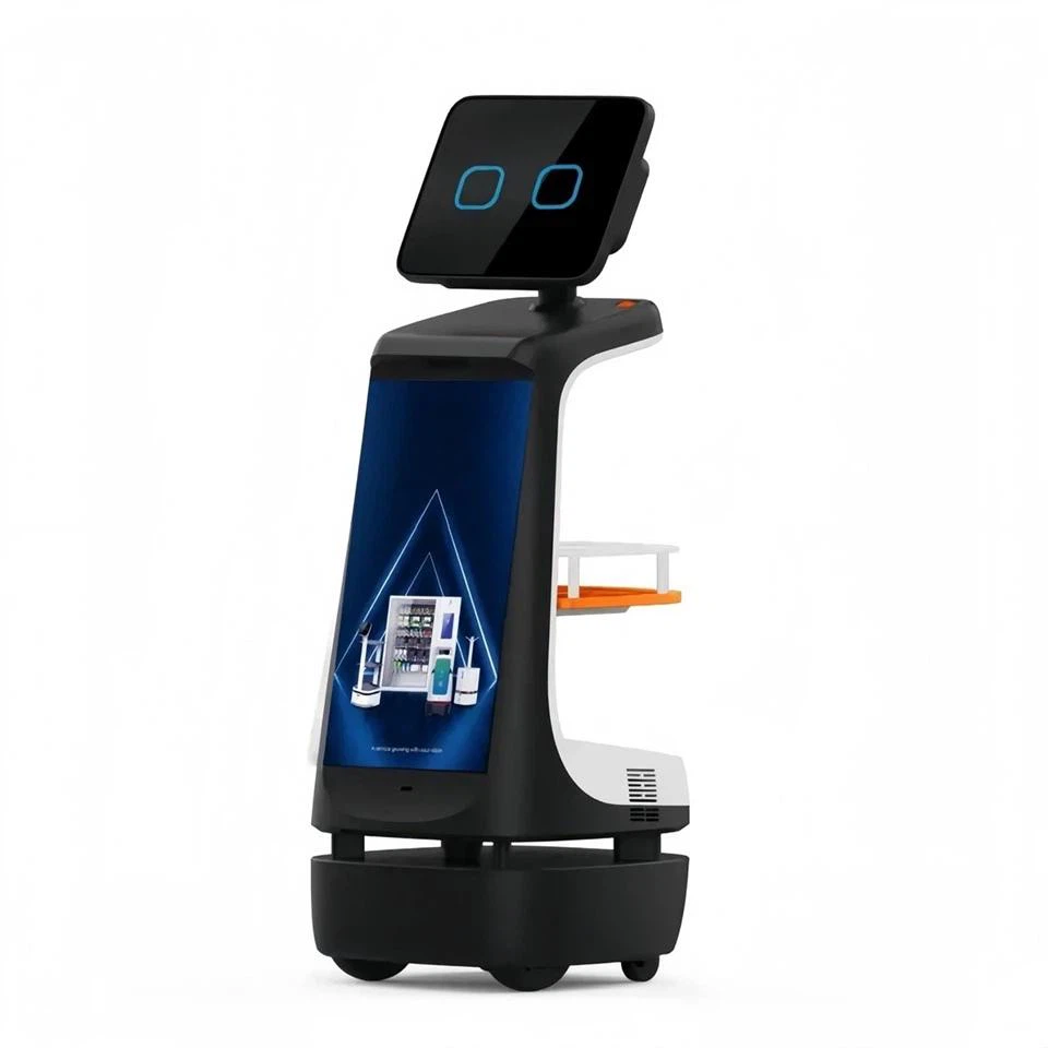 Greeting And Guidance Robot