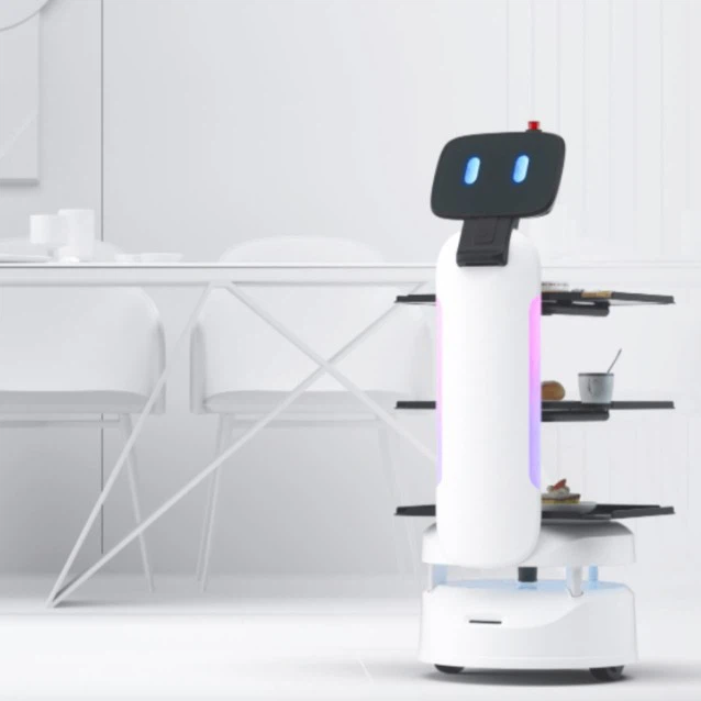 Lightweight Restaurant Service Robot