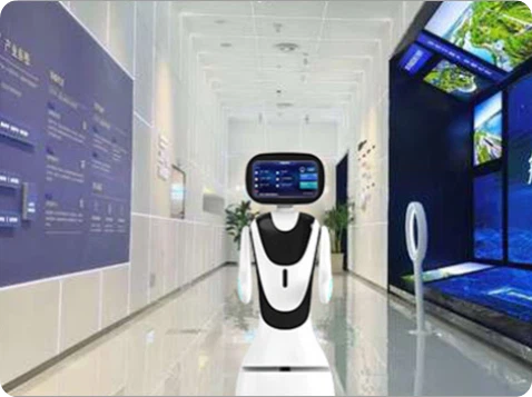 product-478-357 product-478-357