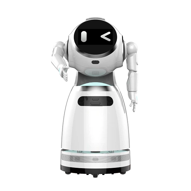 Reception Robot