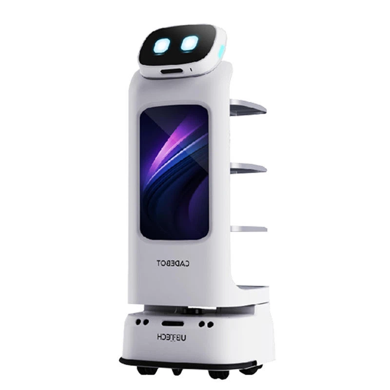 Robot Brings Food factory