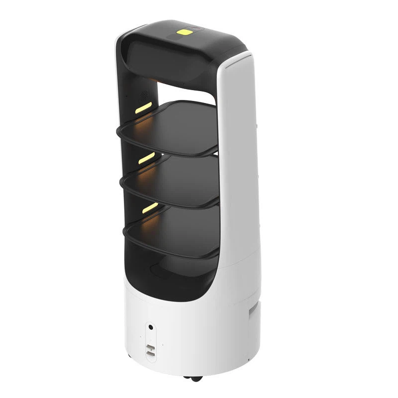 Robot in The Restaurant high quality