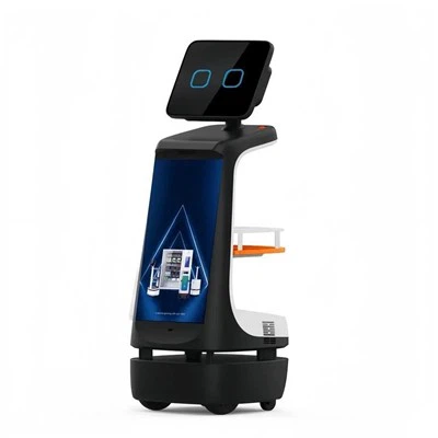 Hälsnings- och vägledningsrobot